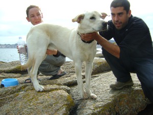 Rescate de un perro de raza labrador en la parroquia de Ribeira, en el término municipal de Ribeira