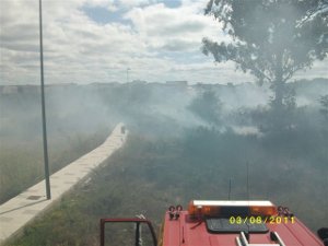 Extinguido un incendio forestal en una parcela situada en la calle Venus, en el término municipal de Carballo