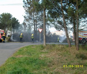 Extinguido un incendio forestal na rúa Violetas, no concello de Carballo
